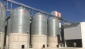12 günlük süreç içerisinde 26 bin 412 ton buğday TMO’ya satıldı 800 çiftçi platforma üye oldu