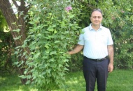 10 hektar orman alanı zarar gördü