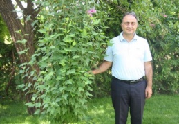 10 hektar orman alanı zarar gördü