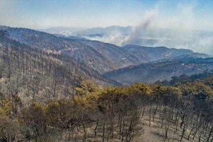  İzmir&#039;de 500 hektar değil, 5 bin hektar yandı