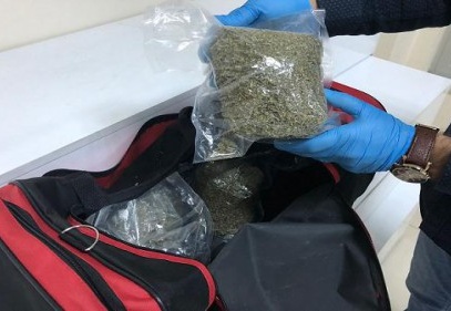 6 kilo 250 gram bonzai ele geçirildi 