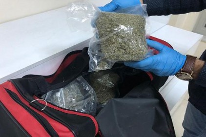 6 kilo 250 gram bonzai ele geçirildi 