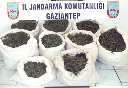 1 kilo 750 gram esrar ele geçirildi