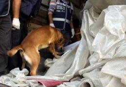 104 kilo 630 gram esrar ele geçirildi