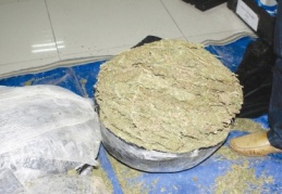 77 kilo esrar ele geçirildi