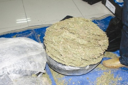 77 kilo esrar ele geçirildi