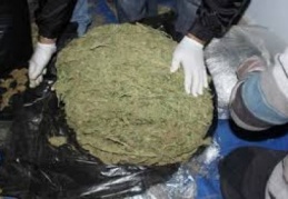 21 kilo esrar ele geçirildi