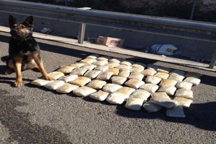 28 kilo esrar ele geçirildi
