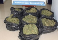 47 kilo esrar ele geçirildi