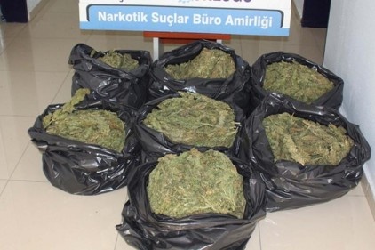 47 kilo esrar ele geçirildi