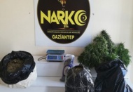 21 kilo esrar ele geçirilirken 7 şüpheli gözaltına alındı