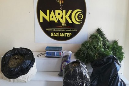 21 kilo esrar ele geçirilirken 7 şüpheli gözaltına alındı