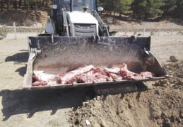 130 kilo eti imha edildi