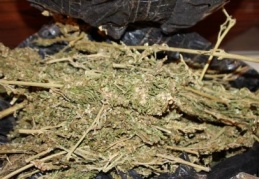 40 kilo kubar esrar ile 277 bin 200 paket kaçak sigara ele geçirildi