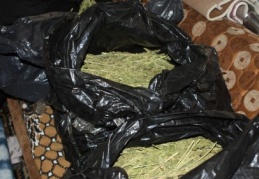 101 kilo kubar esrar maddesi ele geçirildi