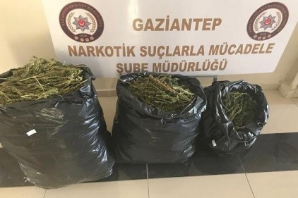 20 kilo uyuşturucu madde ele geçirildi