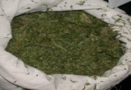 30 kilogram esrar ele geçirildi