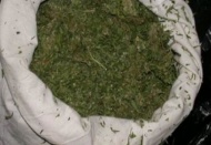 141 kilogram esrar maddesi ele geçirildi