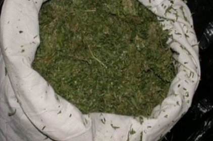141 kilogram esrar maddesi ele geçirildi