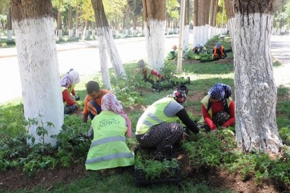 40 kırsal mahallenin mezarlıklarında temizlik çalışması yapılıyor