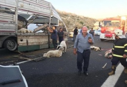 3 kişi yaralandı, çok sayıda hayvan telef oldu 