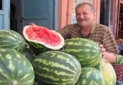  Meşhur Araban karpuzu tezgahlardaki yerini aldı