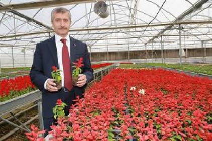 &#8220;3 milyon 640 bin adet çiçek ürettik&#8221;