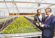 2 milyon 300 bin adet mevsimlik çiçek ve bitki ilçeyi süslüyor
