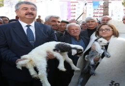 2 milyon lira değerinde bin 400 ton koyun süt yemi dağıtacak