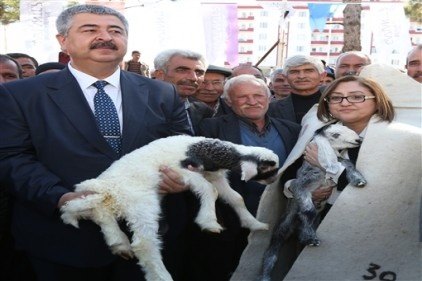2 milyon lira değerinde bin 400 ton koyun süt yemi dağıtacak