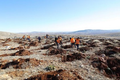 3 milyon metrekarelik alan, yeşille buluştu