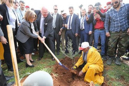 3 milyon Suriyeli-3 milyon fidan projesi