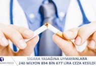 250 milyona yakın ceza kesildi
