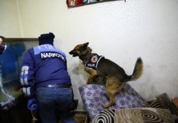 300 polis, şafak vakti toplam 36 adrese eş zamanlı baskın düzenledi