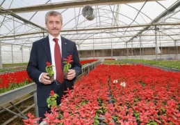 600 tane park yaptık
