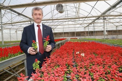 600 tane park yaptık
