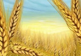 2023 tarım vizyonu açıklandı