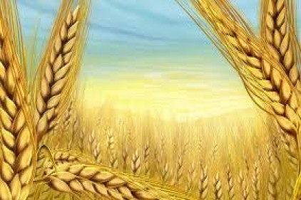 2023 tarım vizyonu açıklandı