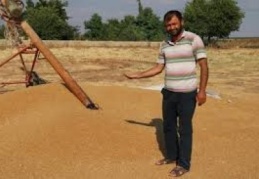 30 ton buğday yüklü tırla kayıplara karıştı