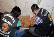 18.5 ton gümrük kaçağı ceviz içi ele geçirildi