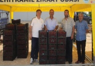 750 ton iç piyasaya 500 ton ihracata gitti