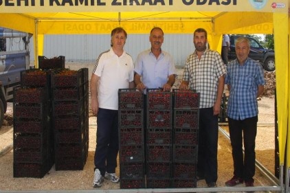750 ton iç piyasaya 500 ton ihracata gitti