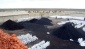 337 ton kaçak kömüre el konuldu