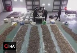 1.28 ton kurutulmuş denizatı ele geçirildi
