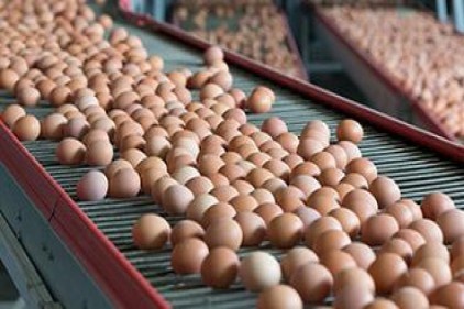40 ülkedeki yumurtalarda zehirli &#8220;fipronil&#8221; maddesi var