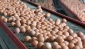40 ülkedeki yumurtalarda zehirli “fipronil” maddesi var