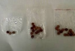 29 uyuşturucu hap ele geçirildi, 2 kişi gözaltında 