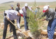 168. yıl için fidan dikildi