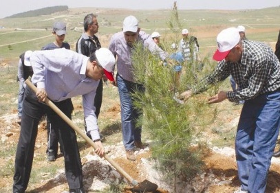 168. yıl için fidan dikildi
