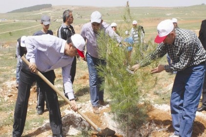 168. yıl için fidan dikildi